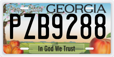 GA license plate PZB9288