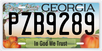 GA license plate PZB9289