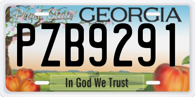 GA license plate PZB9291