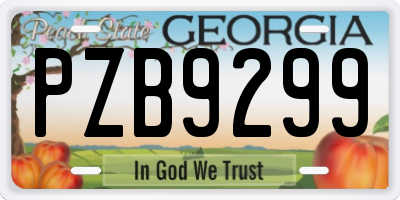 GA license plate PZB9299