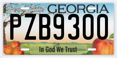 GA license plate PZB9300