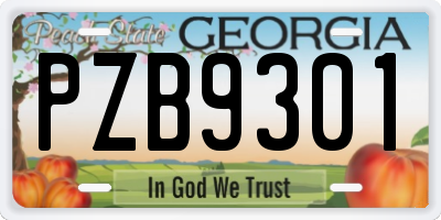 GA license plate PZB9301