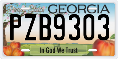 GA license plate PZB9303