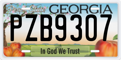 GA license plate PZB9307