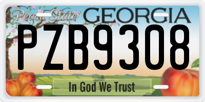 GA license plate PZB9308