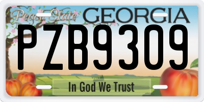 GA license plate PZB9309