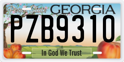 GA license plate PZB9310