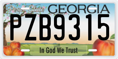 GA license plate PZB9315