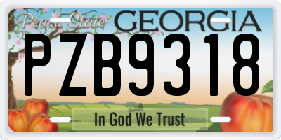 GA license plate PZB9318