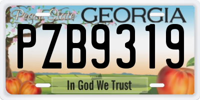 GA license plate PZB9319