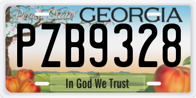 GA license plate PZB9328