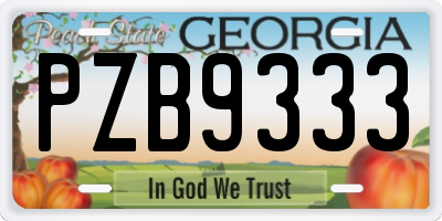 GA license plate PZB9333