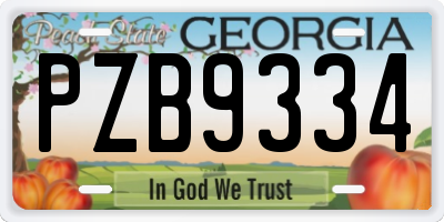 GA license plate PZB9334