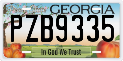 GA license plate PZB9335