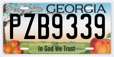 GA license plate PZB9339