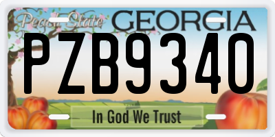 GA license plate PZB9340
