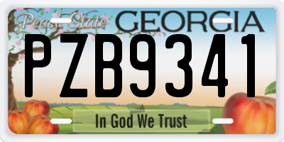 GA license plate PZB9341
