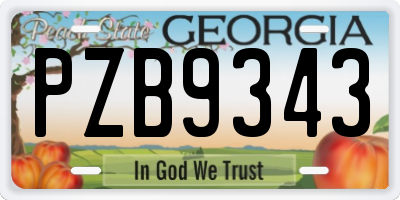 GA license plate PZB9343