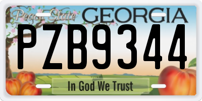 GA license plate PZB9344
