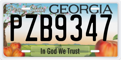 GA license plate PZB9347