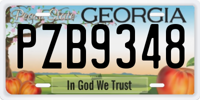 GA license plate PZB9348