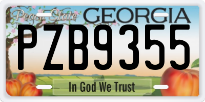 GA license plate PZB9355