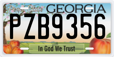 GA license plate PZB9356