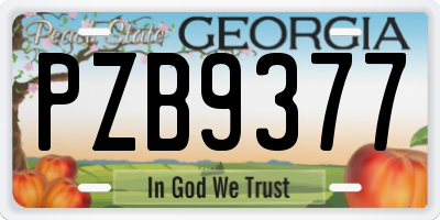 GA license plate PZB9377
