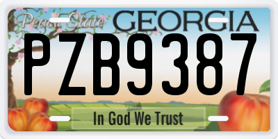 GA license plate PZB9387
