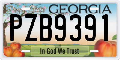 GA license plate PZB9391