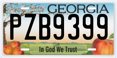 GA license plate PZB9399