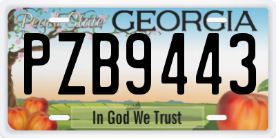 GA license plate PZB9443