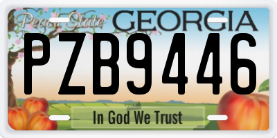 GA license plate PZB9446