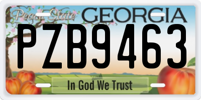 GA license plate PZB9463