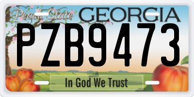 GA license plate PZB9473