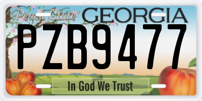 GA license plate PZB9477