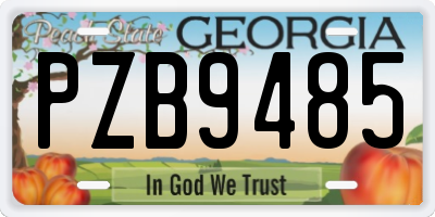 GA license plate PZB9485