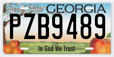 GA license plate PZB9489