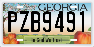 GA license plate PZB9491