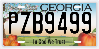 GA license plate PZB9499