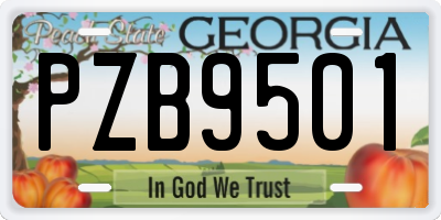 GA license plate PZB9501