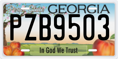 GA license plate PZB9503