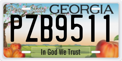 GA license plate PZB9511