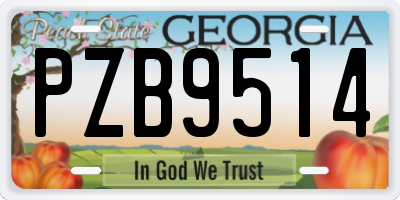GA license plate PZB9514