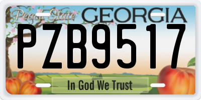 GA license plate PZB9517