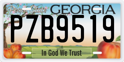GA license plate PZB9519