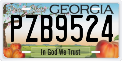 GA license plate PZB9524