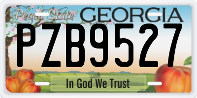 GA license plate PZB9527