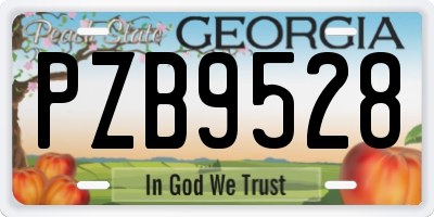 GA license plate PZB9528