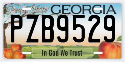 GA license plate PZB9529